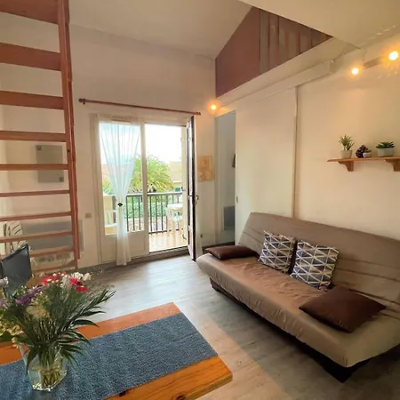 Chaleureux De Deux Pieces Cyprien Sc090-232 Apartment Saint-Cyprien (Pyrenees-Orientales)