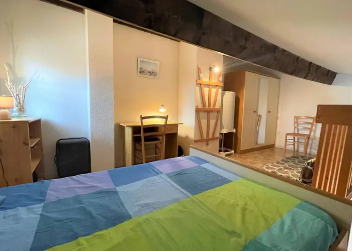 Apartment Chaleureux De Deux Pieces Cyprien Sc090-232