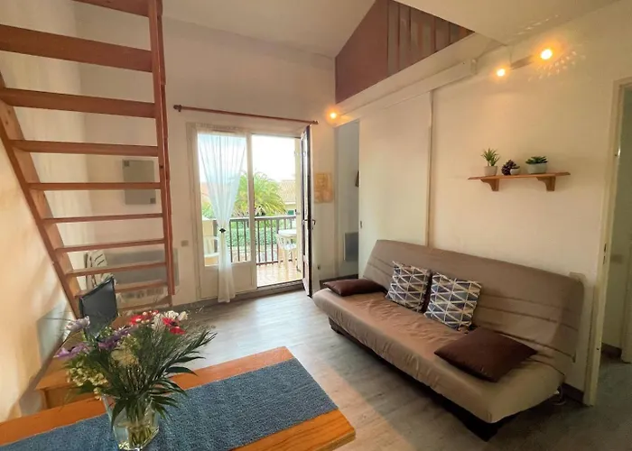 Chaleureux De Deux Pieces Cyprien Sc090-232 Apartment Saint-Cyprien (Pyrenees-Orientales)